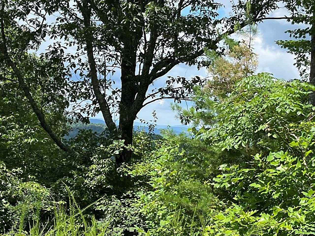 Premium Development Land | Kolašin